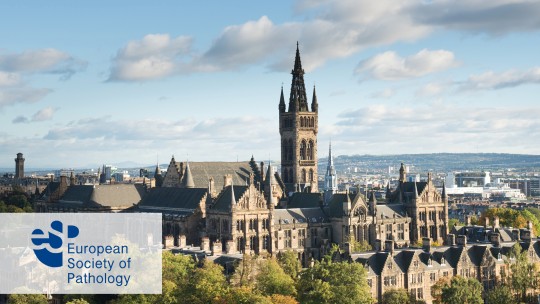 ECP – European Congress of Pathology 
